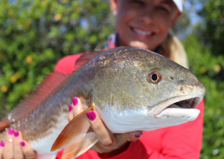 What You Need to Know About Fishing in the Everglades