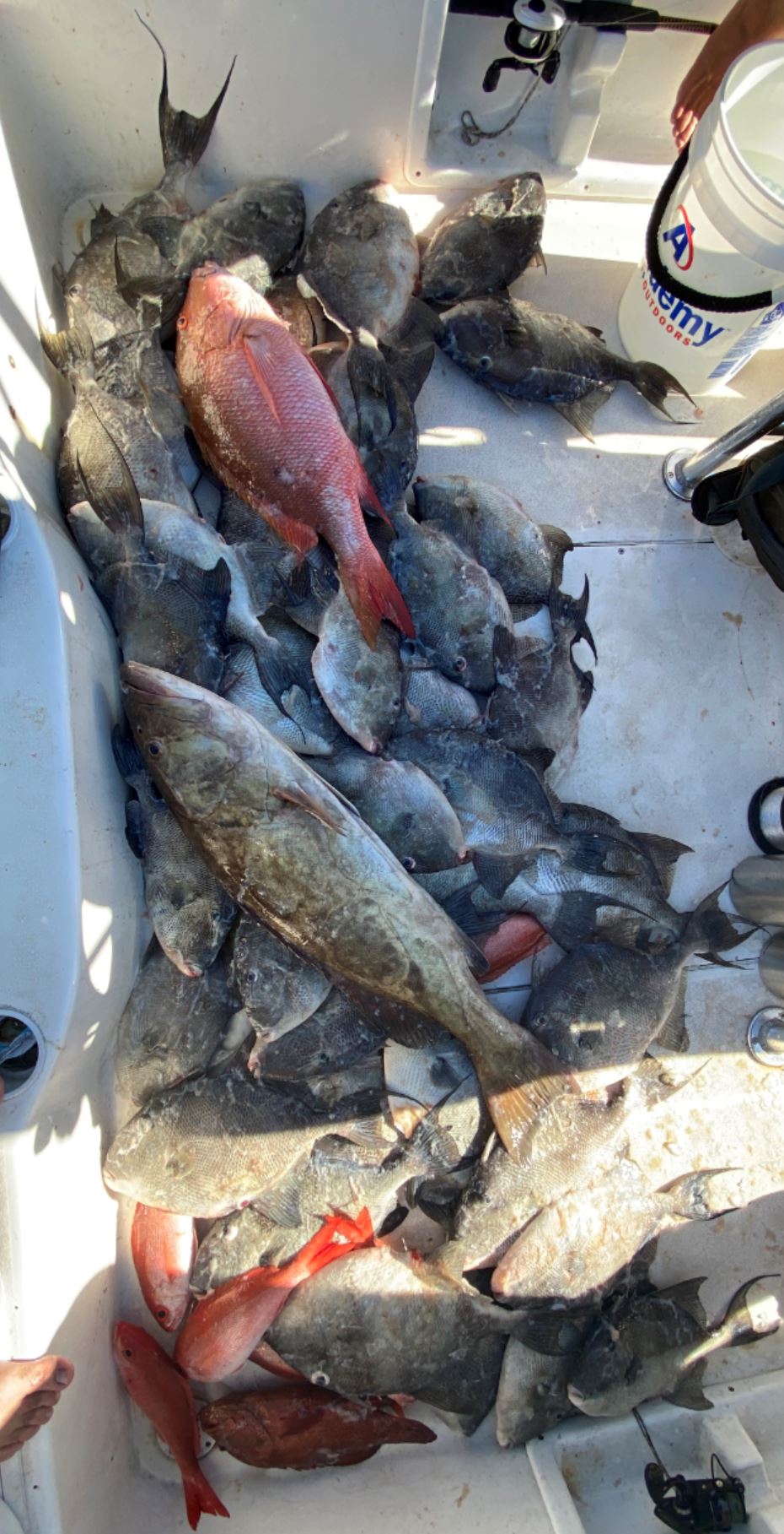 Jacksonville Beach, FL, USA