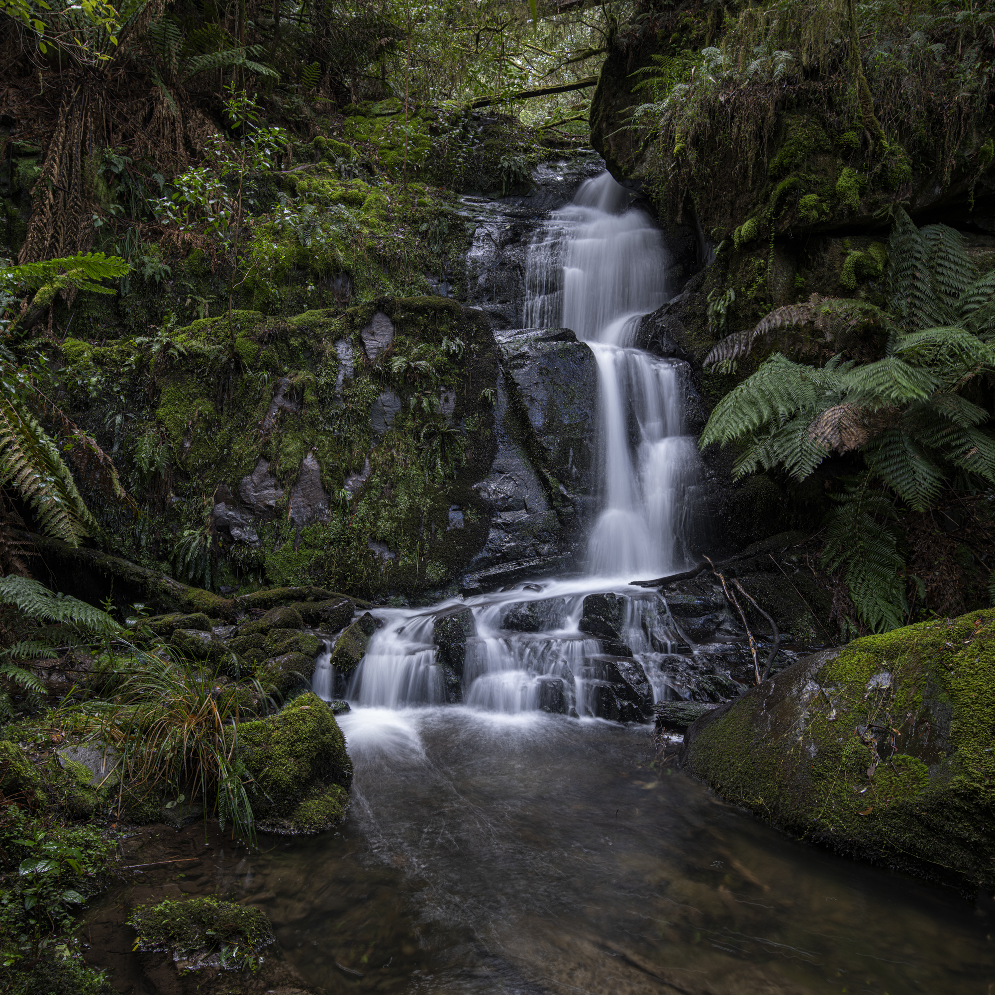Mount Sabine VIC, Australia