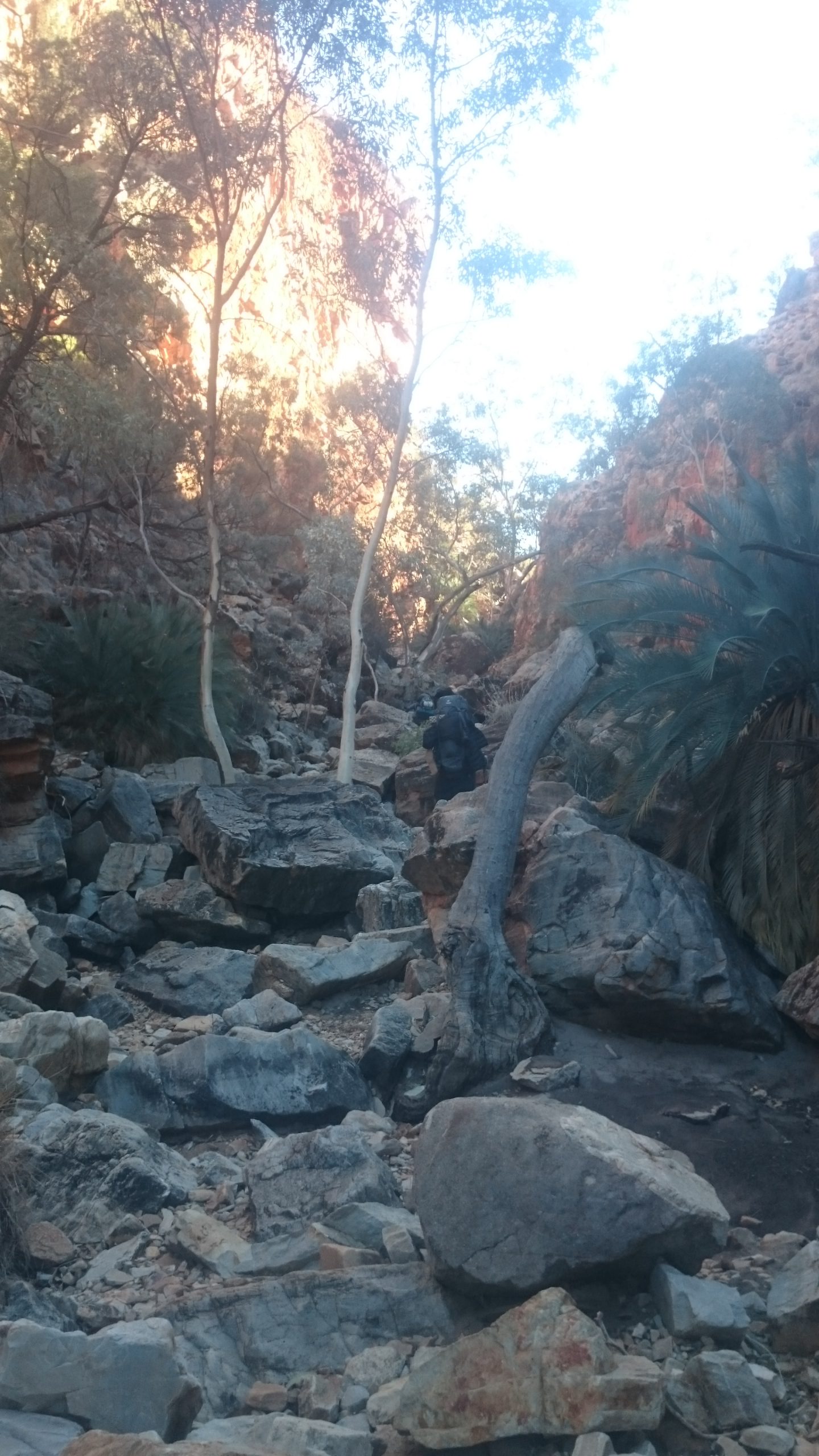 Brinkley's Bluff, Burt Plain NT, Australia