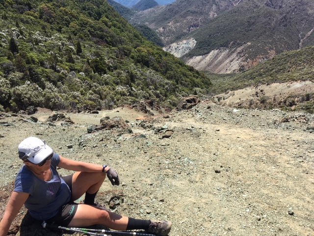 Hunters Hut, Richmond Ranges,New Zealand